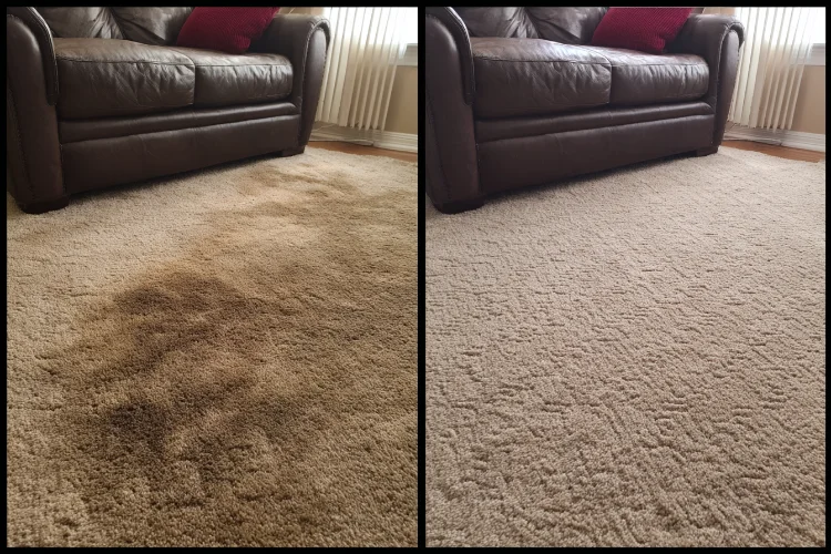Carpet Cleaning Service